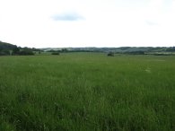 Fields nr Tring Station