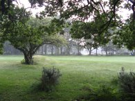 Berkhamstead Golf course