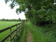 Fields nr Great Gaddesden