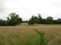 Fields nr Tenements Farm