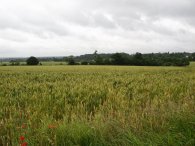 Approaching Chequers Lane