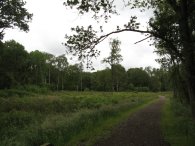Brickett Wood Common