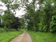 Driveway to Mundens House