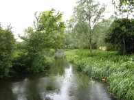 River Colne