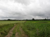 Fields nr Letchmore Heath