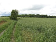  Approaching the M25 nr Kings Langley