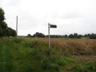 Path nr Little Kendals Farm