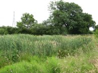 Pond nr the A5183