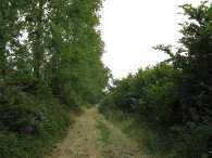 Heading towards Wood Hall Farm