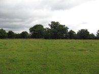 Fields nr Potters Bar