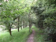 Footpath nr Vineyards Road