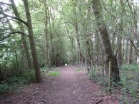 Footpath nr Cuffley