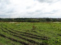 Field, nr Goffs Oak