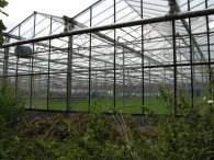 Greenhouses