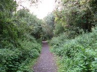 Heading towards the River Lea