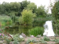 Amwell Nature reserve