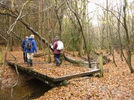 Frenchbridge Gill