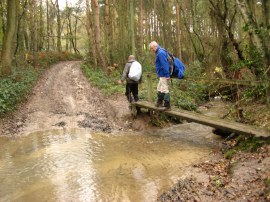 Newstead Gill