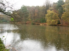 Carterslodge Pond