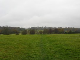 Fields nr Cuckfield Lane