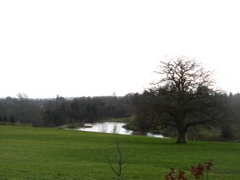 Lake nr Borde Hill