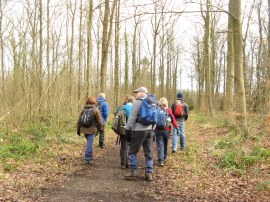 Heading through Minepit Wood