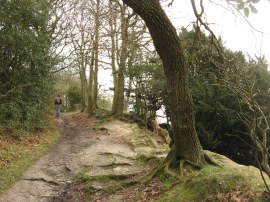 Path by Stone Farm Rocks