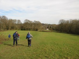 Path across the fields