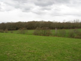 View towards the Vanguard Way