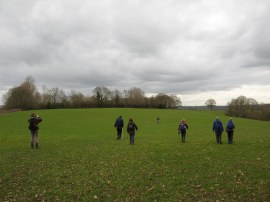 Field nr Cansiron Lane