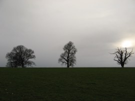 Field nr Lye Green Road