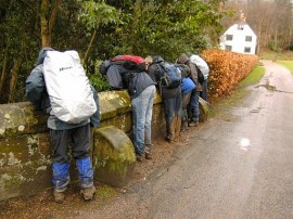 Playing Pooh Sticks