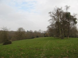 Approaching Jockey's Wood