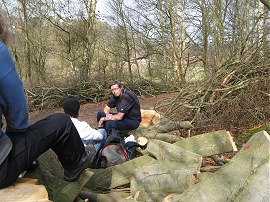 Rest stop in Birchden Wood