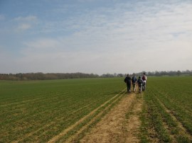 Path nr Warren Farm