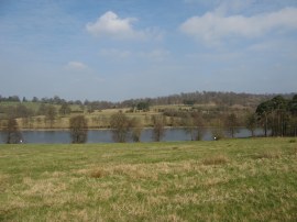 Field nr Cansiron Lane