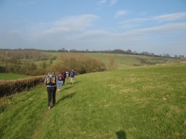 Field nr Little Bayhall Farm