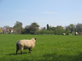 Approaching Brenchley