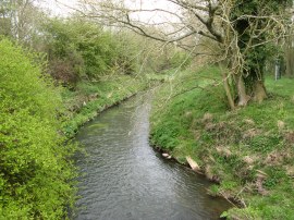 River Teise