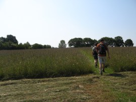 Meadows nr Cranbrook