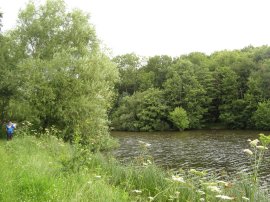 Pond nr Coneyboro Wood