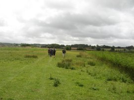 Path from Small Hythe Road