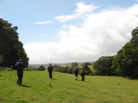 Heading down towards the River Rother