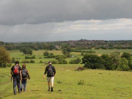 Field nr Clayton Farm