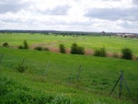 Fields Nr Erith