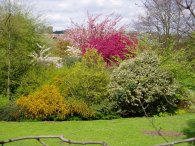 Hall Place Gardens