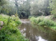 River Cray