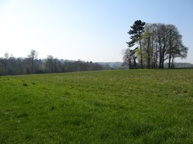 Field nr Farnborough