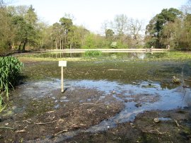 Keston Ponds