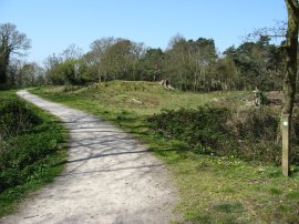 Hayes Common